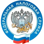Отчётность в ФНС